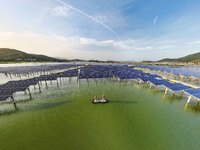 Employees of State Grid Fuzhou Power Supply Company are inspecting photovoltaic equipment in Xincuo town, Fuqing city, Fujian province, Chin...