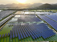 Photovoltaic panels are glowing under the setting sun in Xincuo town, Fuqing city, Fujian province, China, on May 10, 2024. (