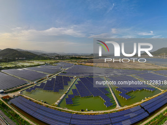 Photovoltaic panels are glowing under the setting sun in Xincuo town, Fuqing city, Fujian province, China, on May 10, 2024. (