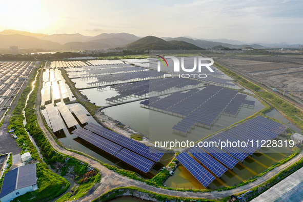 Photovoltaic panels are glowing under the setting sun in Xincuo town, Fuqing city, Fujian province, China, on May 10, 2024. 