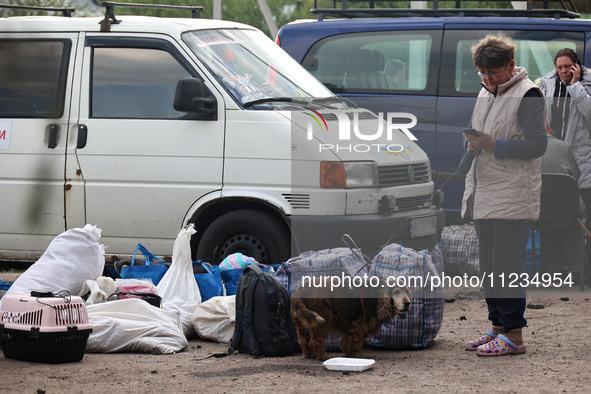 A woman with a dog is evacuating from the city of Vovchansk, which is constantly subjected to Russian shelling, in the Kharkiv region, north...