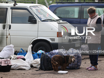 A woman with a dog is evacuating from the city of Vovchansk, which is constantly subjected to Russian shelling, in the Kharkiv region, north...