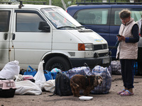 A woman with a dog is evacuating from the city of Vovchansk, which is constantly subjected to Russian shelling, in the Kharkiv region, north...