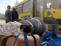 A cat is being wrapped in a towel and placed on a suitcase during the evacuation of civilians from the city of Vovchansk, which is constantl...