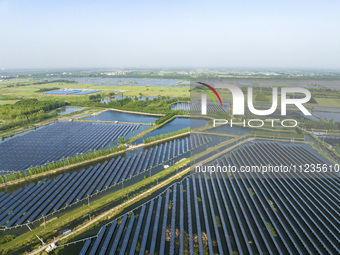 Photovoltaic panels are lining up in an ecological fish pond in Quyang town, Lianyungang, China, on May 13, 2024. (