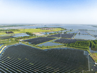 Photovoltaic panels are lining up in an ecological fish pond in Quyang town, Lianyungang, China, on May 13, 2024. (