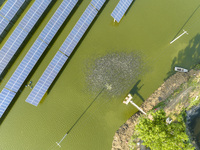 Photovoltaic panels are lining up in an ecological fish pond in Quyang town, Lianyungang, China, on May 13, 2024. (