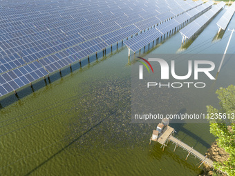 Photovoltaic panels are lining up in an ecological fish pond in Quyang town, Lianyungang, China, on May 13, 2024. (