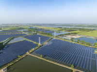 Photovoltaic panels are lining up in an ecological fish pond in Quyang town, Lianyungang, China, on May 13, 2024. (