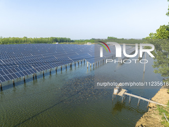 Photovoltaic panels are lining up in an ecological fish pond in Quyang town, Lianyungang, China, on May 13, 2024. (