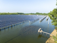 Photovoltaic panels are lining up in an ecological fish pond in Quyang town, Lianyungang, China, on May 13, 2024. (