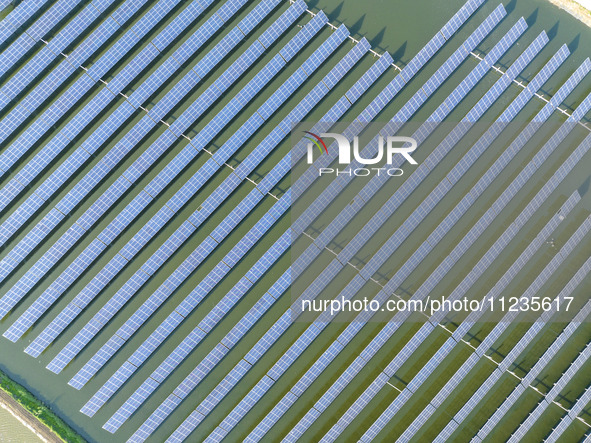 Photovoltaic panels are lining up in an ecological fish pond in Quyang town, Lianyungang, China, on May 13, 2024. 