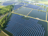 Photovoltaic panels are lining up in an ecological fish pond in Quyang town, Lianyungang, China, on May 13, 2024. (