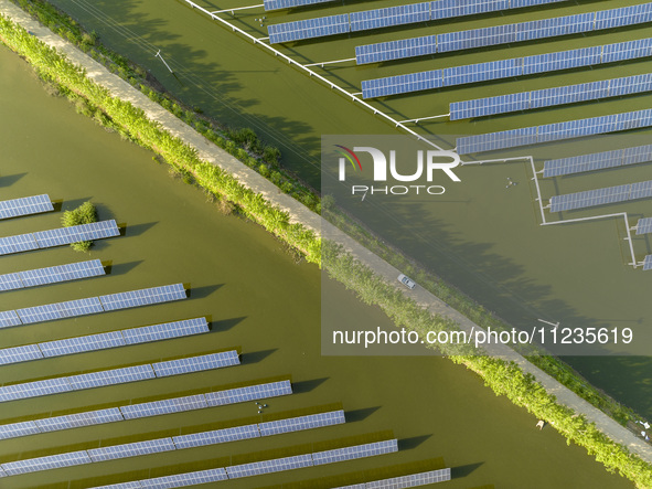 Photovoltaic panels are lining up in an ecological fish pond in Quyang town, Lianyungang, China, on May 13, 2024. 