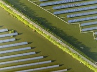 Photovoltaic panels are lining up in an ecological fish pond in Quyang town, Lianyungang, China, on May 13, 2024. (