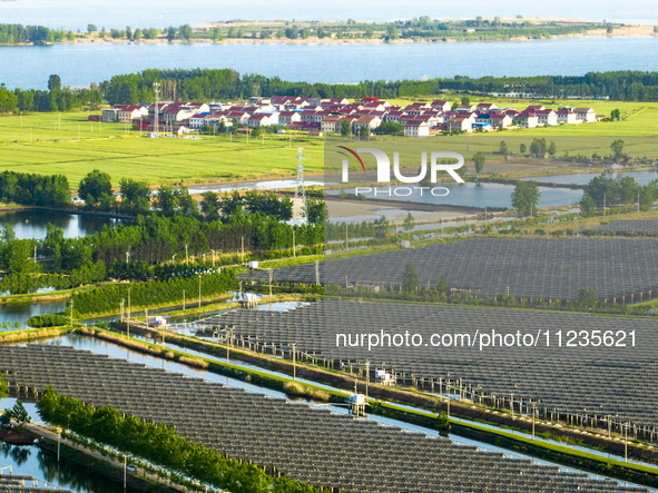 Photovoltaic panels are lining up in an ecological fish pond in Quyang town, Lianyungang, China, on May 13, 2024. 