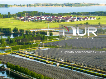 Photovoltaic panels are lining up in an ecological fish pond in Quyang town, Lianyungang, China, on May 13, 2024. (