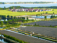 Photovoltaic panels are lining up in an ecological fish pond in Quyang town, Lianyungang, China, on May 13, 2024. (