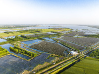 Photovoltaic panels are lining up in an ecological fish pond in Quyang town, Lianyungang, China, on May 13, 2024. (