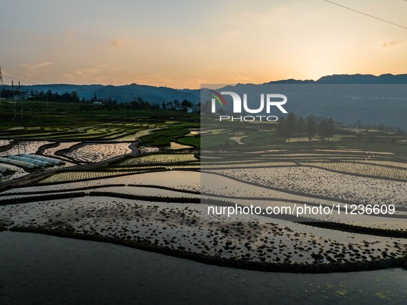 A photo taken on May 13, 2024, shows the rice terraces of Xiaotun in Shiyuan village, Bijie City, Southwest China's Guizhou province. 