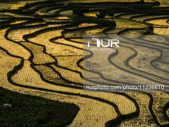 A photo taken on May 13, 2024, shows the rice terraces of Xiaotun in Shiyuan village, Bijie City, Southwest China's Guizhou province. 