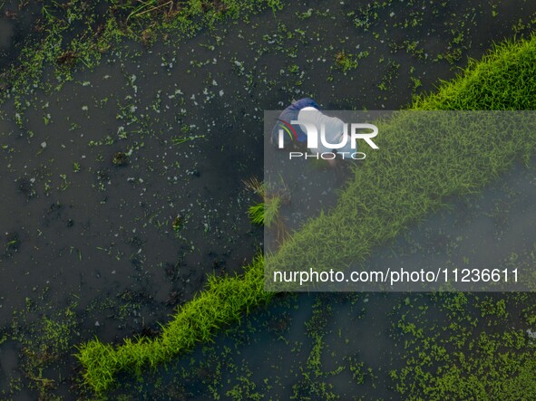 Villagers are working in a terraced field in Shiyuan village of Bijie city, Southwest China's Guizhou province, on May 13, 2024. 