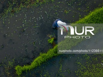 Villagers are working in a terraced field in Shiyuan village of Bijie city, Southwest China's Guizhou province, on May 13, 2024. (