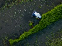 Villagers are working in a terraced field in Shiyuan village of Bijie city, Southwest China's Guizhou province, on May 13, 2024. (