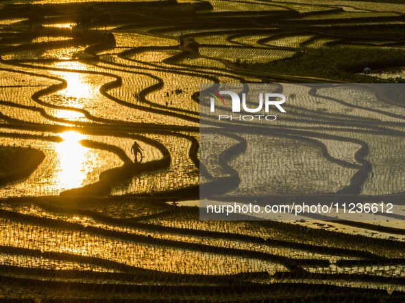 Villagers are working in a terraced field in Shiyuan village of Bijie city, Southwest China's Guizhou province, on May 13, 2024. 