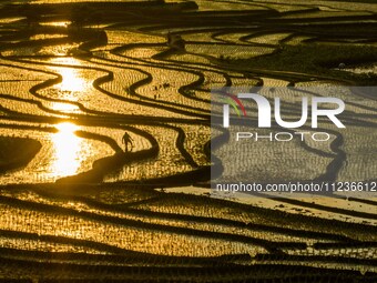 Villagers are working in a terraced field in Shiyuan village of Bijie city, Southwest China's Guizhou province, on May 13, 2024. (