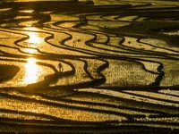 Villagers are working in a terraced field in Shiyuan village of Bijie city, Southwest China's Guizhou province, on May 13, 2024. (