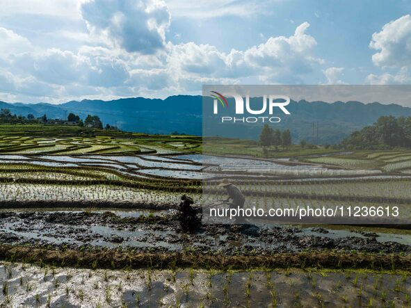 Villagers are working in a terraced field in Shiyuan village of Bijie city, Southwest China's Guizhou province, on May 13, 2024. 