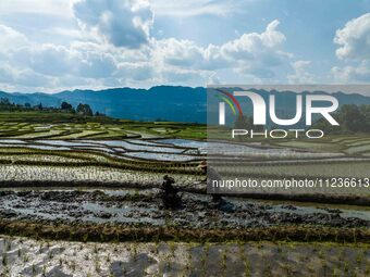 Villagers are working in a terraced field in Shiyuan village of Bijie city, Southwest China's Guizhou province, on May 13, 2024. (