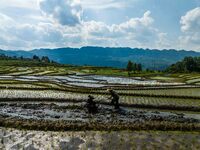 Villagers are working in a terraced field in Shiyuan village of Bijie city, Southwest China's Guizhou province, on May 13, 2024. (