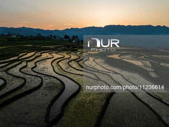 Villagers are working in a terraced field in Shiyuan village of Bijie city, Southwest China's Guizhou province, on May 13, 2024. 