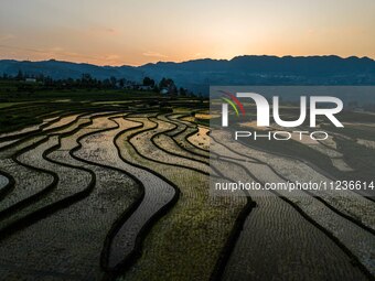 Villagers are working in a terraced field in Shiyuan village of Bijie city, Southwest China's Guizhou province, on May 13, 2024. (