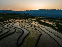 Villagers are working in a terraced field in Shiyuan village of Bijie city, Southwest China's Guizhou province, on May 13, 2024. (