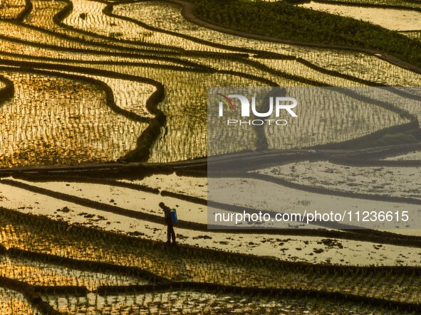 Villagers are working in a terraced field in Shiyuan village of Bijie city, Southwest China's Guizhou province, on May 13, 2024. 