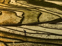 Villagers are working in a terraced field in Shiyuan village of Bijie city, Southwest China's Guizhou province, on May 13, 2024. (