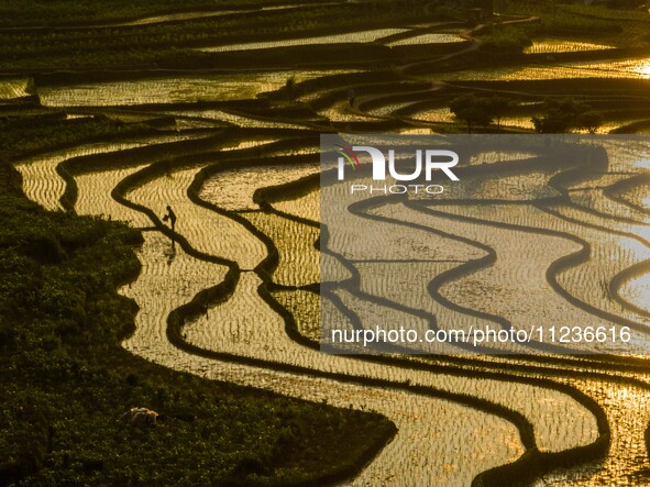 Villagers are working in a terraced field in Shiyuan village of Bijie city, Southwest China's Guizhou province, on May 13, 2024. 