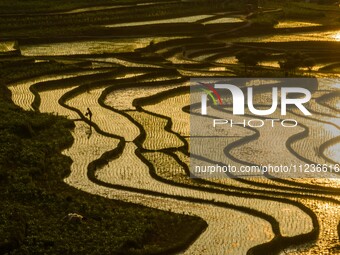 Villagers are working in a terraced field in Shiyuan village of Bijie city, Southwest China's Guizhou province, on May 13, 2024. (