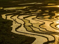 Villagers are working in a terraced field in Shiyuan village of Bijie city, Southwest China's Guizhou province, on May 13, 2024. (