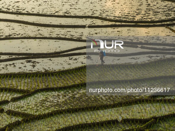 Villagers are working in a terraced field in Shiyuan village of Bijie city, Southwest China's Guizhou province, on May 13, 2024. 