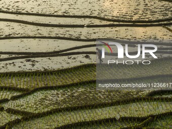 Villagers are working in a terraced field in Shiyuan village of Bijie city, Southwest China's Guizhou province, on May 13, 2024. (