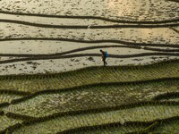 Villagers are working in a terraced field in Shiyuan village of Bijie city, Southwest China's Guizhou province, on May 13, 2024. (