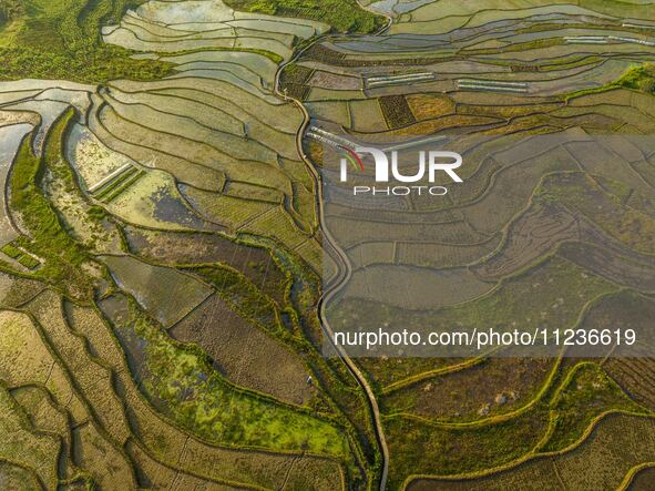 Villagers are working in a terraced field in Shiyuan village of Bijie city, Southwest China's Guizhou province, on May 13, 2024. 