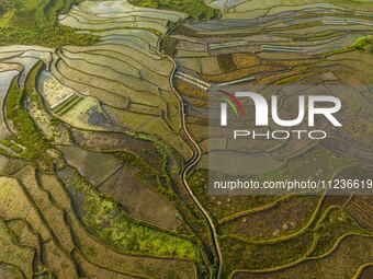 Villagers are working in a terraced field in Shiyuan village of Bijie city, Southwest China's Guizhou province, on May 13, 2024. (