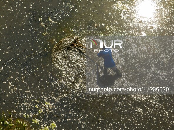 Villagers are working in a terraced field in Shiyuan village of Bijie city, Southwest China's Guizhou province, on May 13, 2024. 