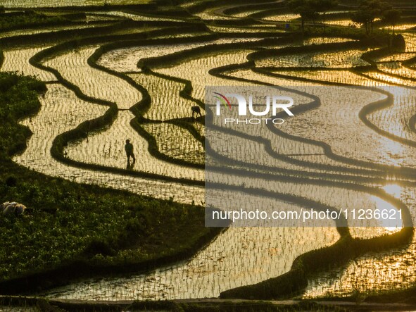 Villagers are working in a terraced field in Shiyuan village of Bijie city, Southwest China's Guizhou province, on May 13, 2024. 