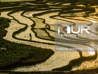 Villagers are working in a terraced field in Shiyuan village of Bijie city, Southwest China's Guizhou province, on May 13, 2024. (